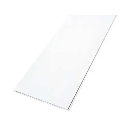 Панель пластикова