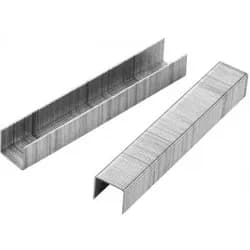 Скобы к степлеру TOLSEN тип-53 8*0,7мм - PRORAB